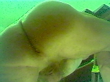 snap_1234340477.jpg