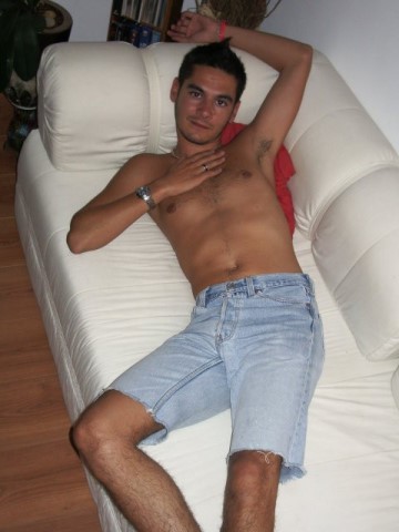 Poodle seattle gay Tranny access