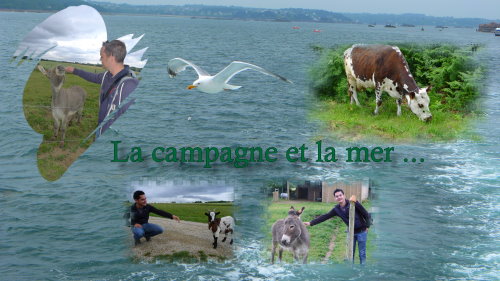 bretagne002.jpg
